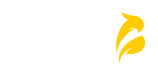 Global Guru Ventures